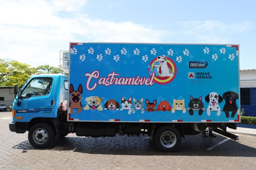 Prefeitura lança programa de castração de cães e gatos nos distritos 2
