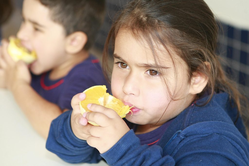 <strong>Merenda escolar é aprimorada e sobe de 17 para 38 itens da agricultura familiar desde 2017</strong> 2