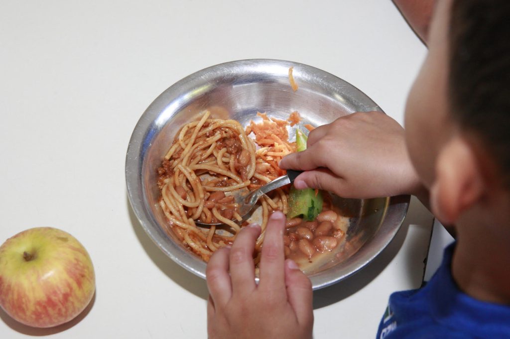 <strong>Merenda escolar é aprimorada e sobe de 17 para 38 itens da agricultura familiar desde 2017</strong> 5