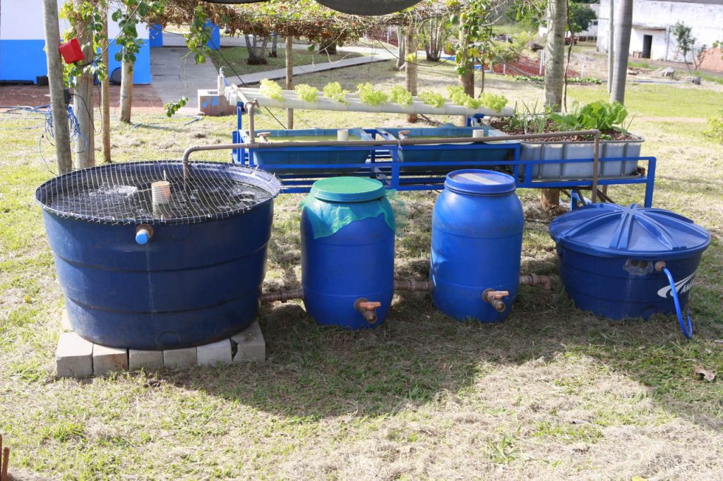 Prefeitura realiza 15ª edição do Curso de Aquaponia 1