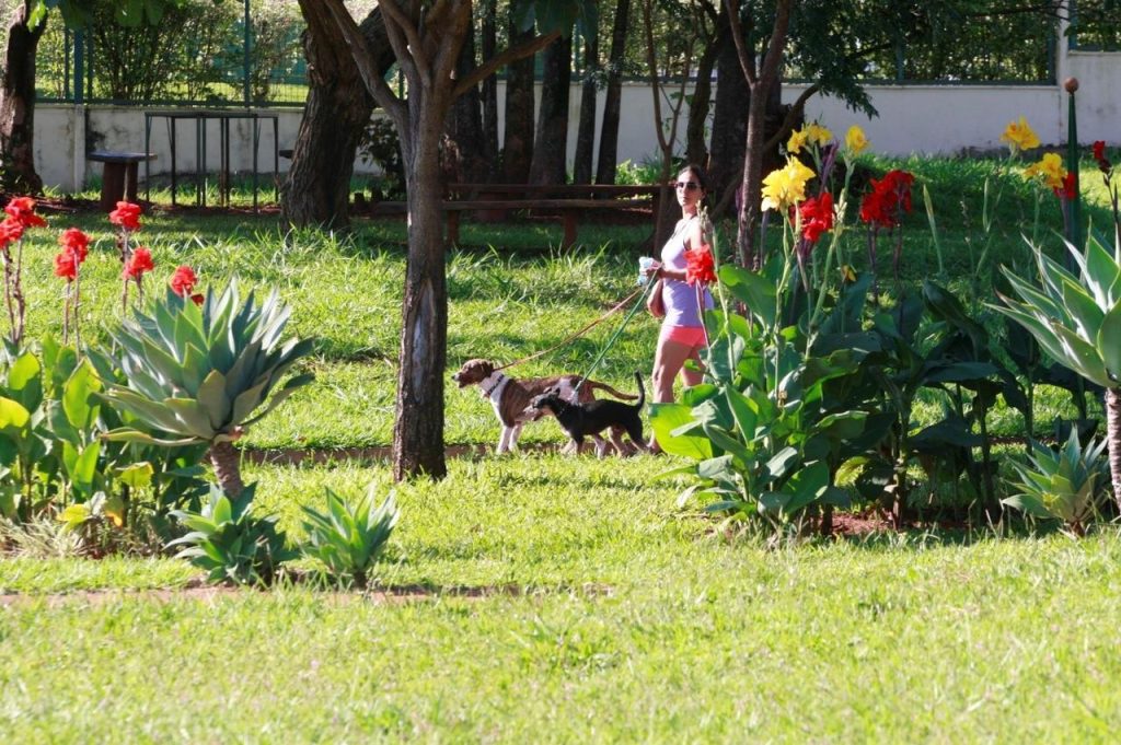 <strong>Parques municipais são opções de lazer para o fim de semana em Uberlândia</strong> 3