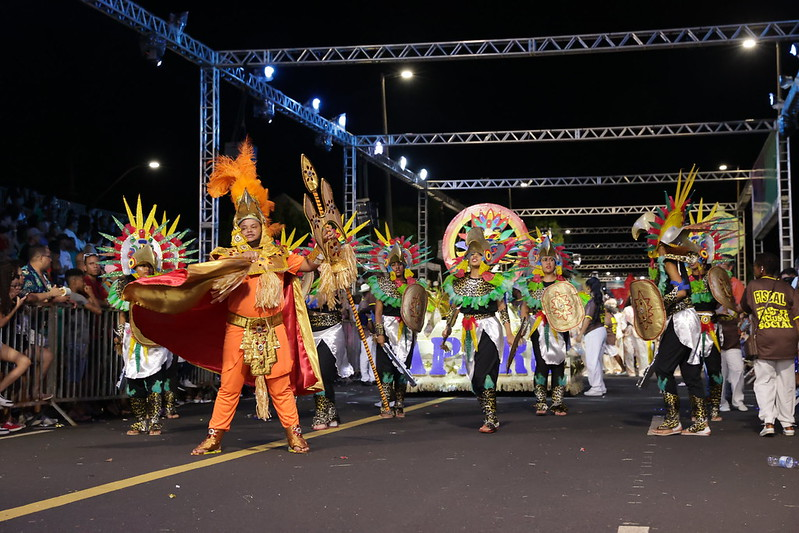 Desfiles das Escolas de Samba e Blocos Carnavalescos (1)