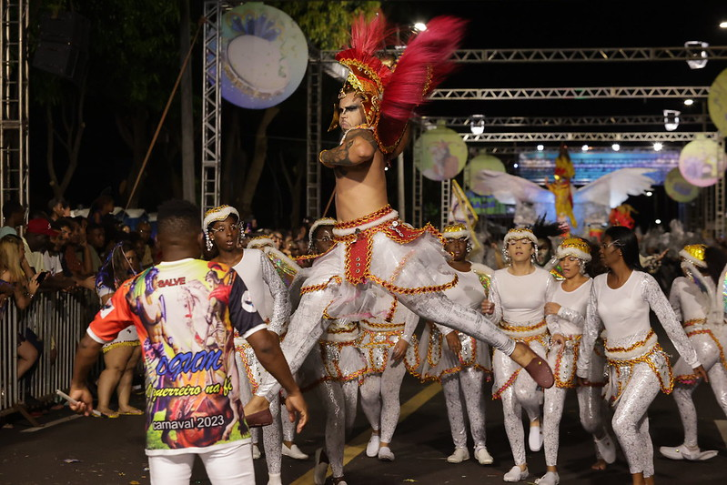 Desfiles das Escolas de Samba e Blocos Carnavalescos (2)