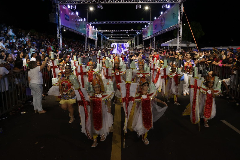 Desfiles das Escolas de Samba e Blocos Carnavalescos (3)