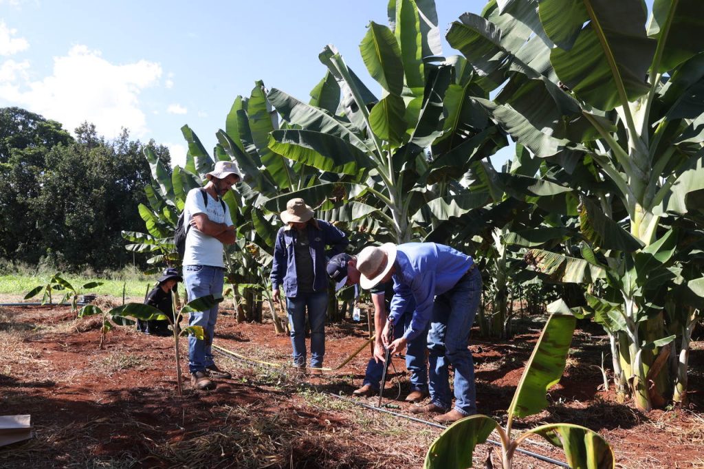 <strong>Ferub promove 1º curso de irrigação gratuito para pequenos produtores rurais</strong> 1