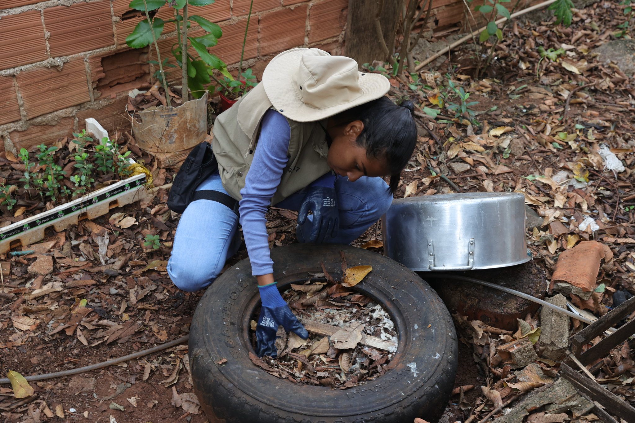 Prefeitura realiza Mutirão Contra a Dengue – Prefeitura Municipal de  Cosmópolis