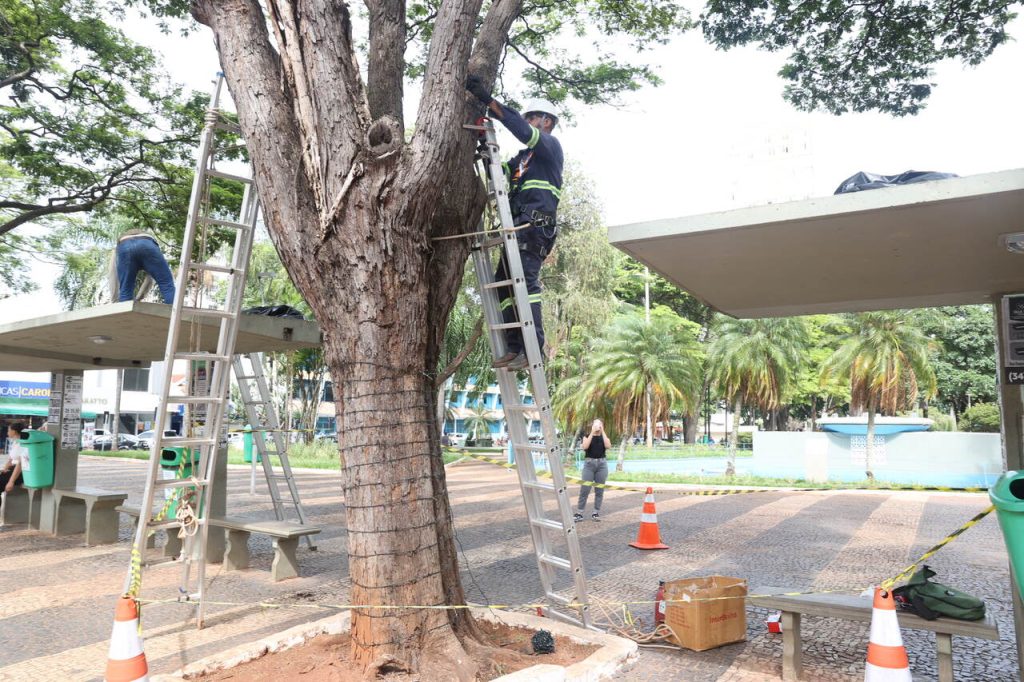 Prefeitura dá início à instalação da iluminação e decorações de Natal em Uberlândia 1