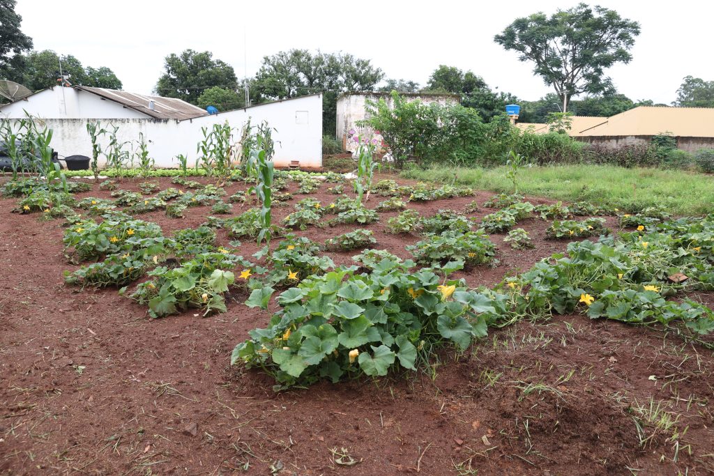 Projeto ‘Educa Agro’ beneficia mais de 90 alunos da Rede Municipal de Ensino 2