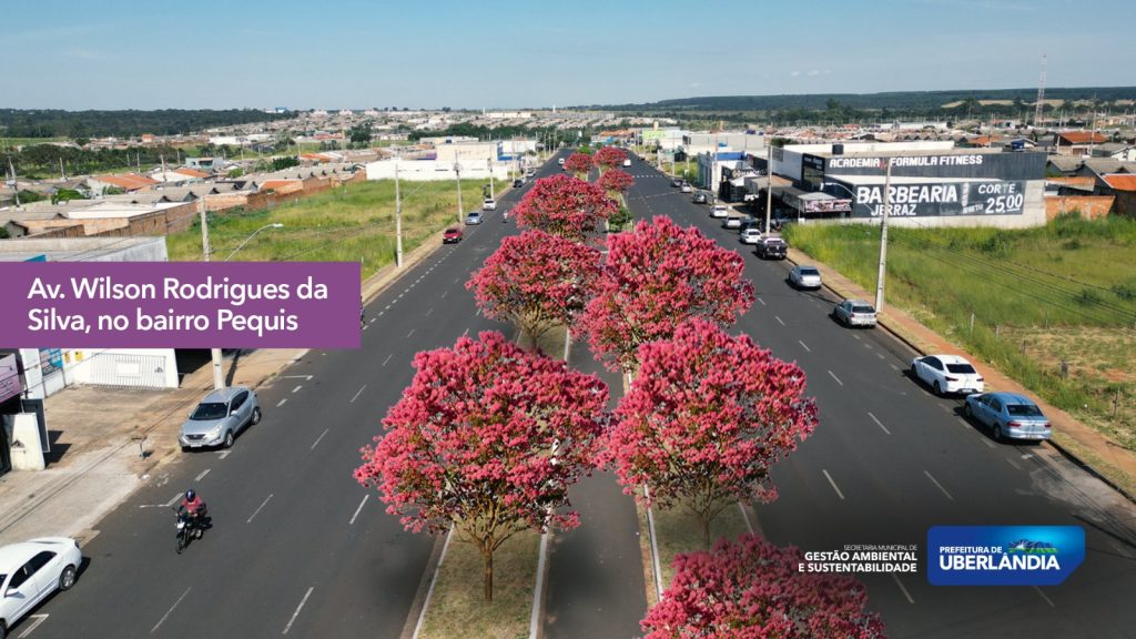 Prefeitura realiza abertura oficial da Semana da Água 5