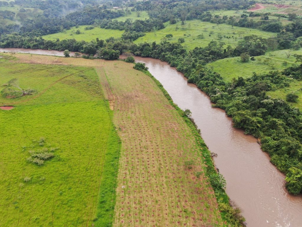 Área de plantio de 10 mil mudas na fazenda Capim Branco – Foto: Arquivo Dmae