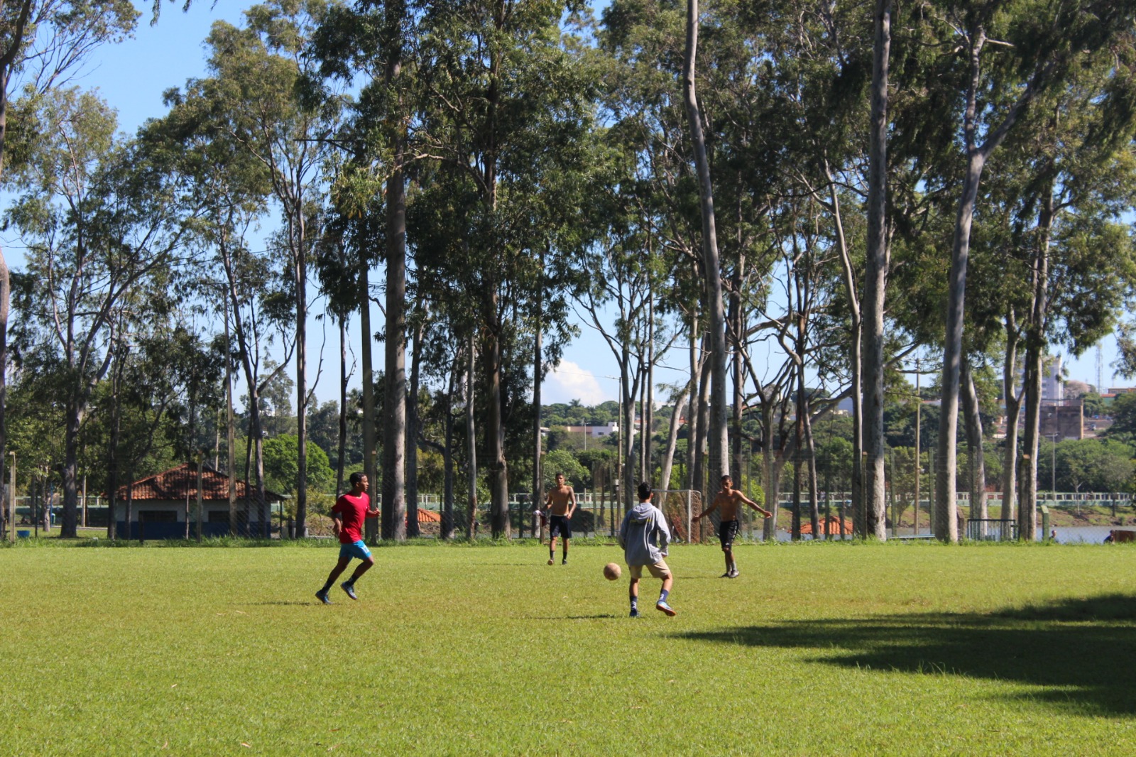 Parque do Sabiá 84