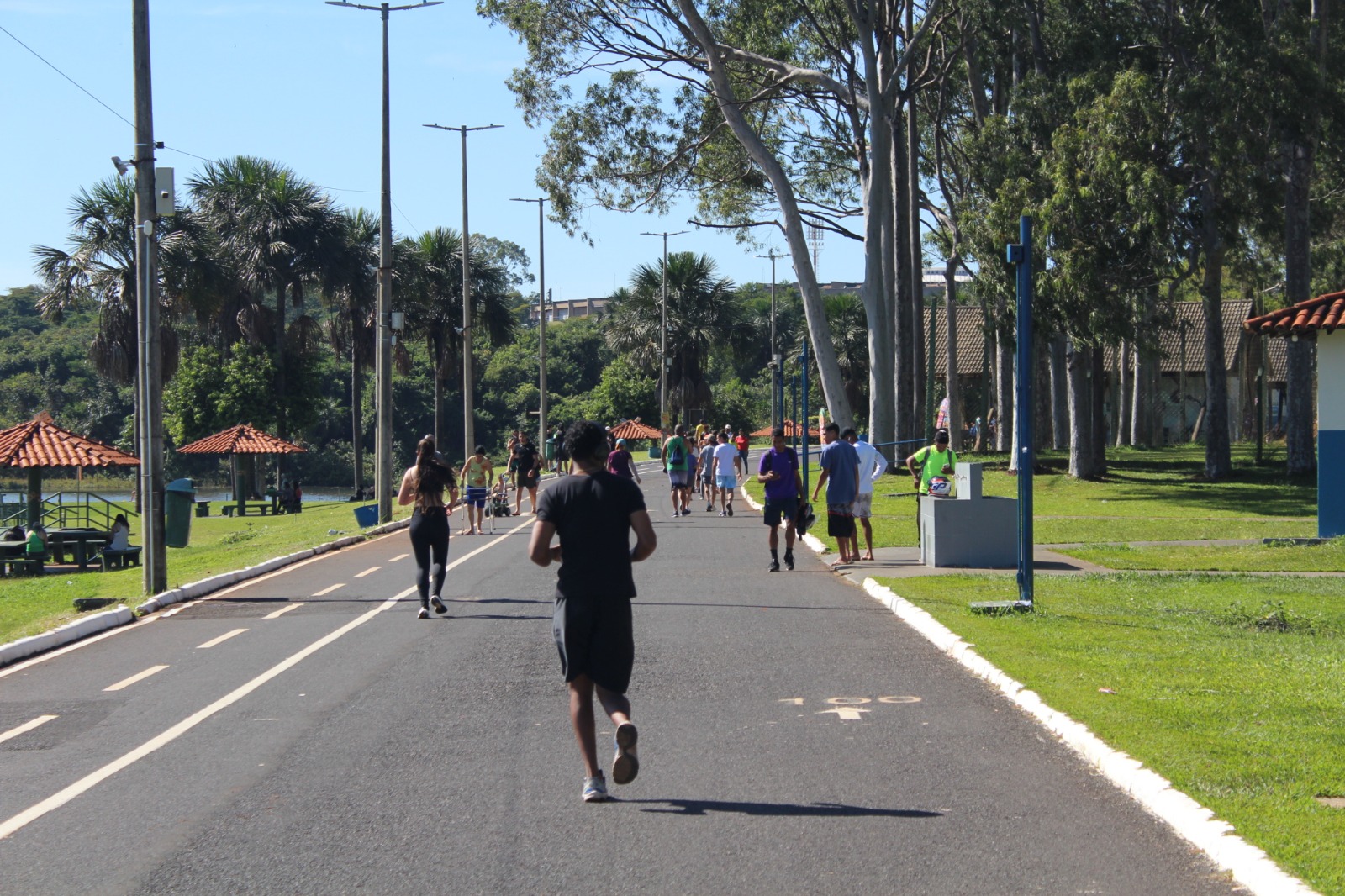 Parque do Sabiá 86