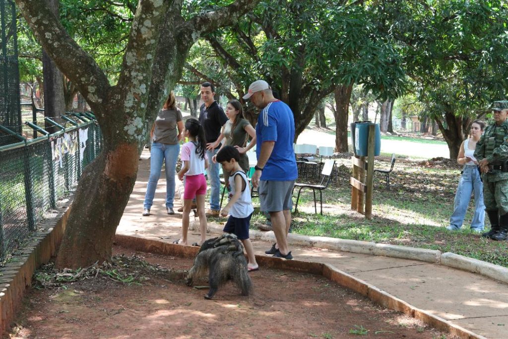 Parque do Sabiá 89