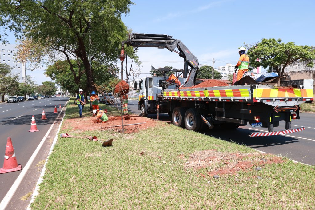 Prefeitura inicia uma série de ações voltadas à prevenção de danos na avenida Rondon Pacheco durante o período chuvoso 1