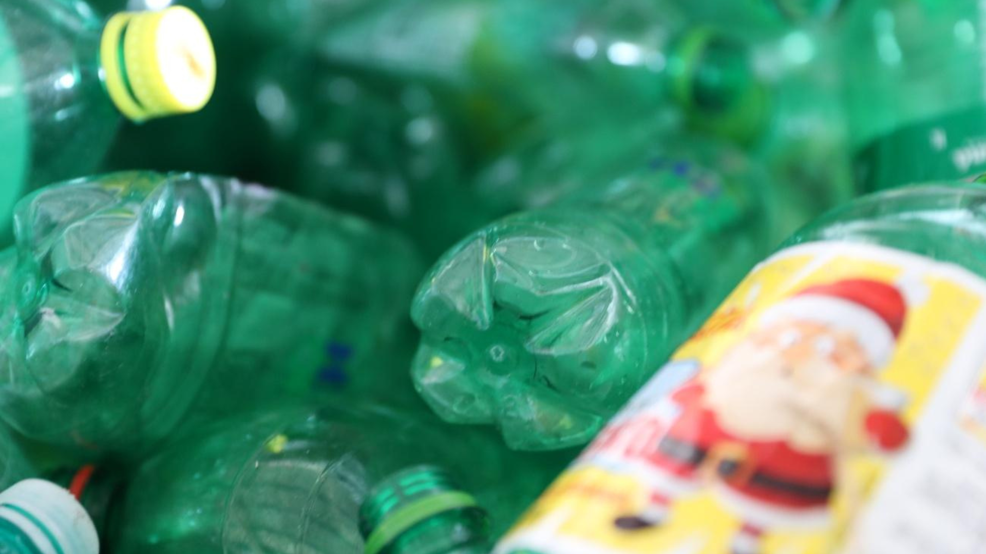 Vamos Reciclar 5