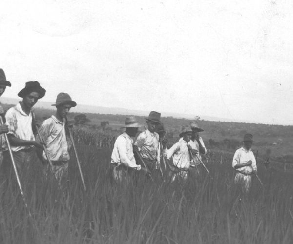 AE JA00354-95