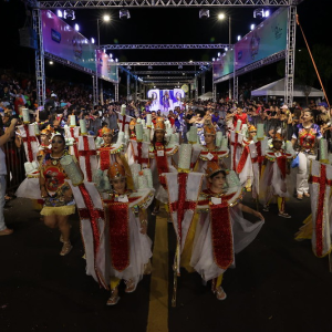 Desfiles das Escolas de Samba e Blocos Carnavalescos (3)