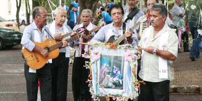 Folia_de_reis_3